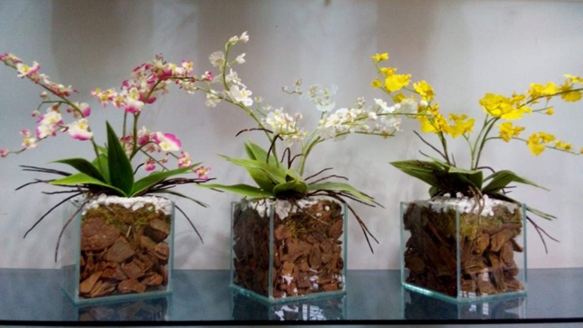 arranjo-artificial-orquidea-chuva-de-ouro-p-d_nq_np_17948-mlb20147180461_082014-f